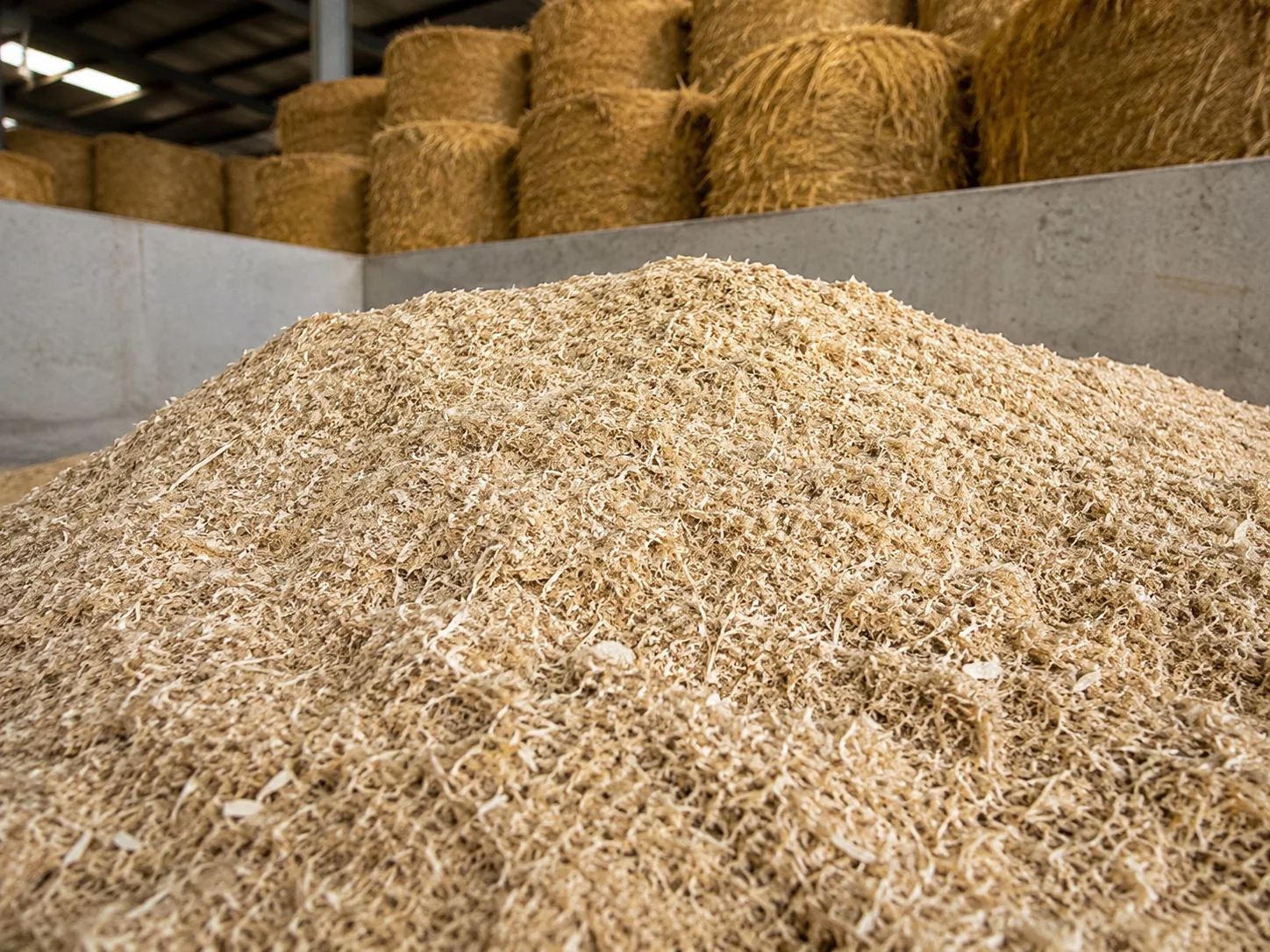 Processed plant fiber used for animal bedding