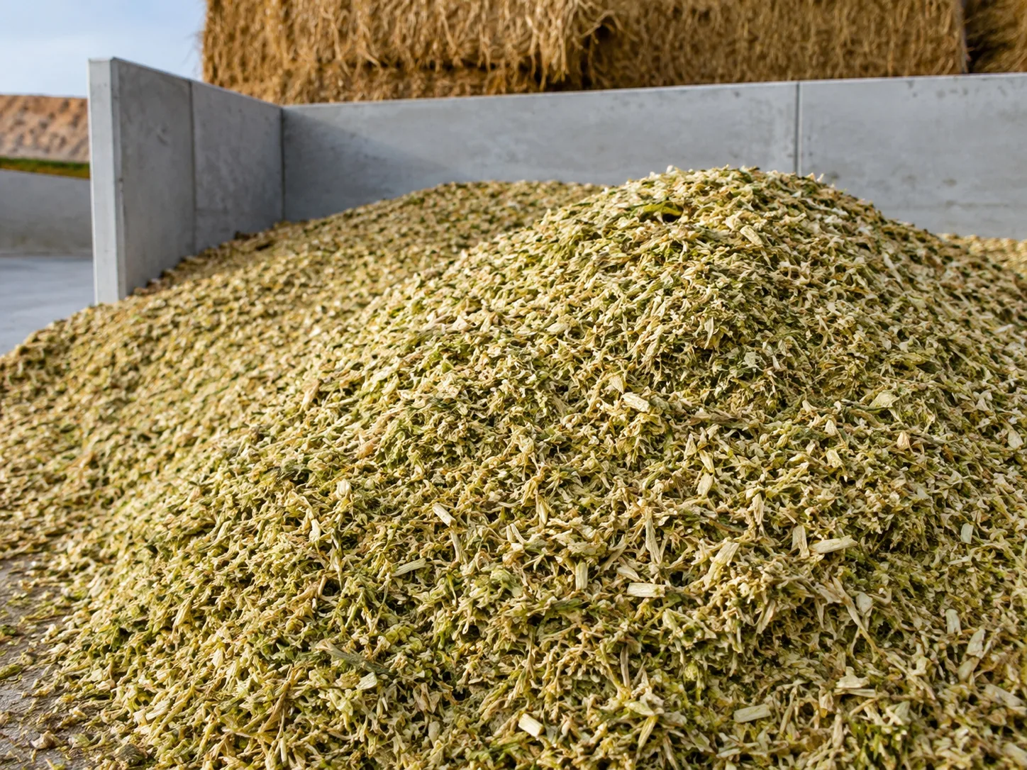 Chopped crop residue for silage preparation