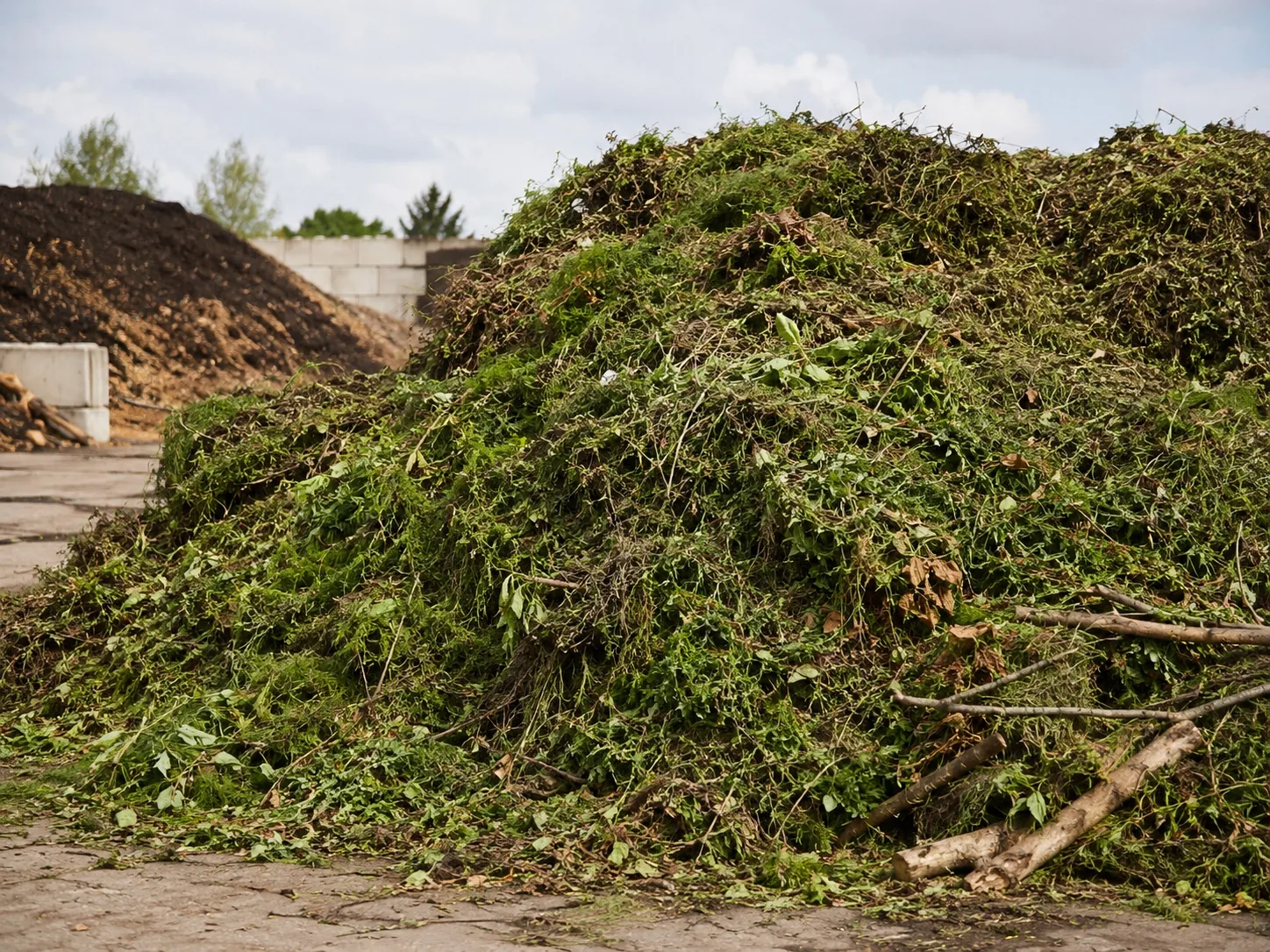 Garden and green waste for shredding