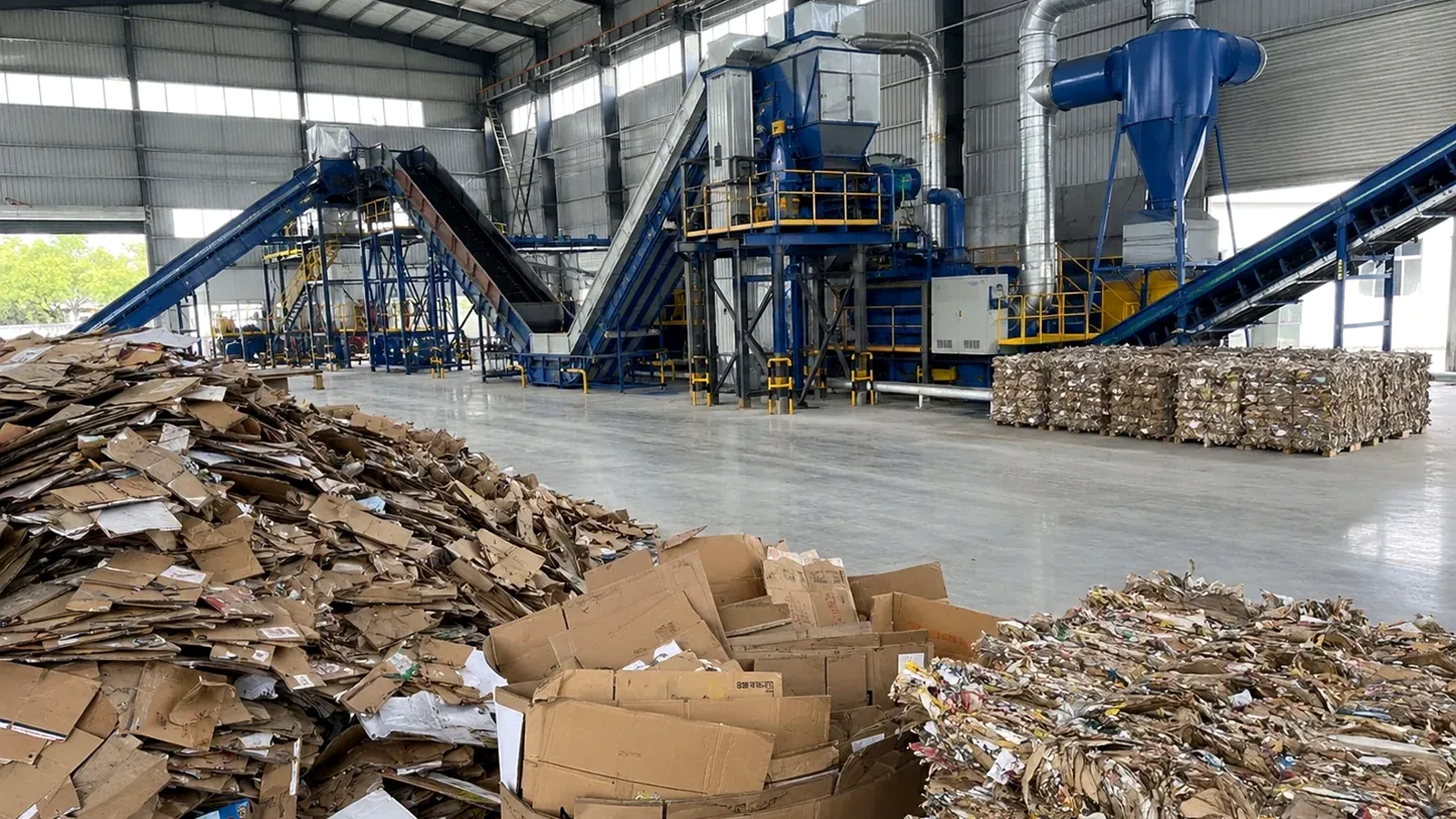 Cardboard Recycling Process in an Industrial Plant